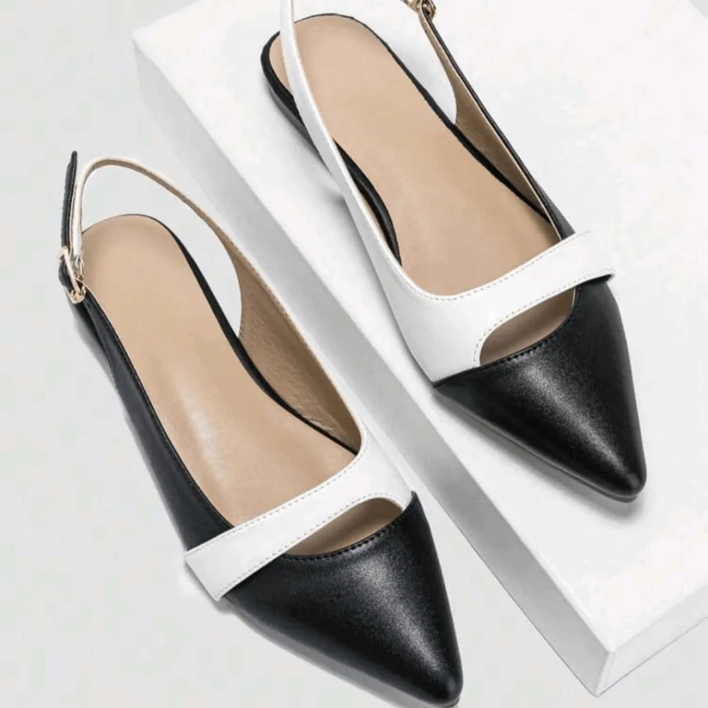 Two Tone Pointed Slingback Flats